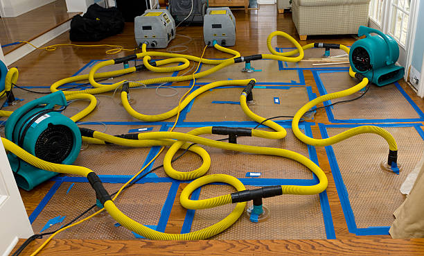 Professional Basement Flood Cleanup technician working in Welcome, SC